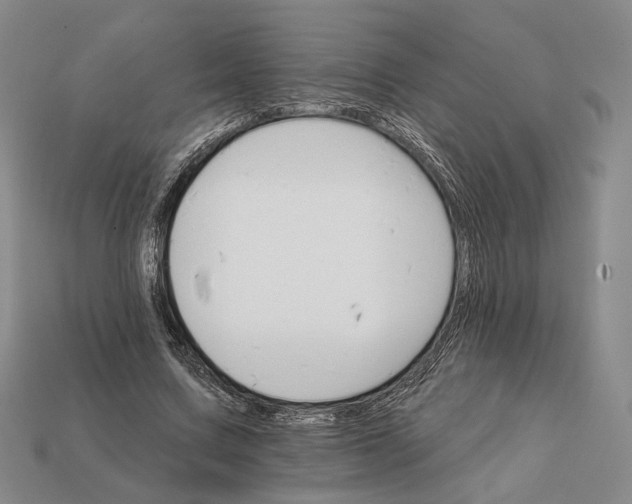 X0000112430683200909111030