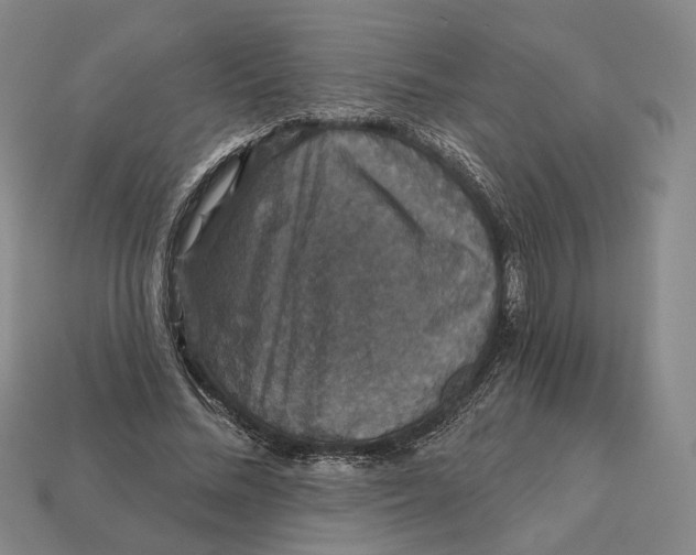 X0000112430684200909111030