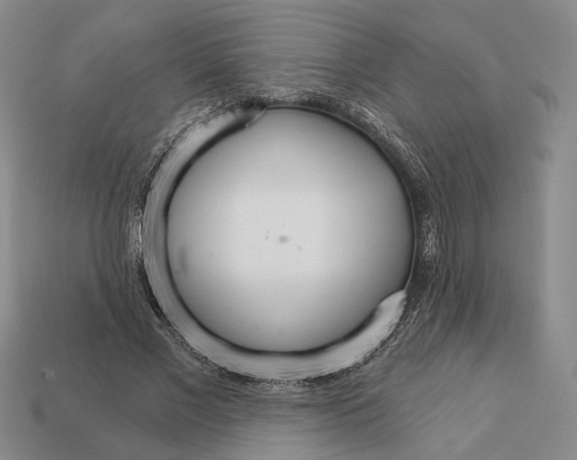 X0000112430685200909111030