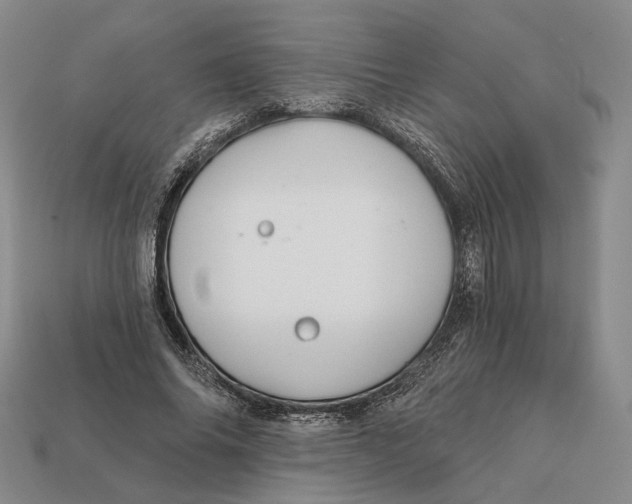 X0000112430686200909111030
