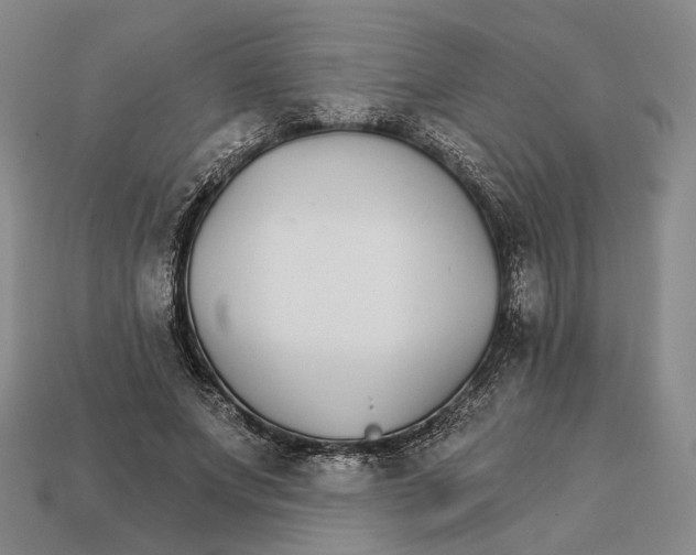 X0000112430687200909111030