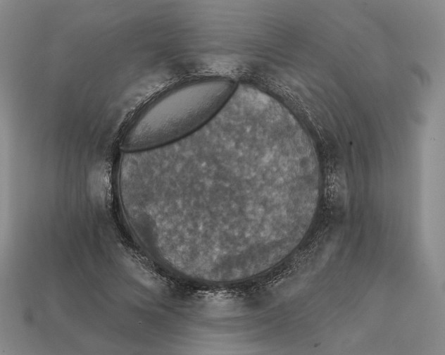 X0000112430688200909111030