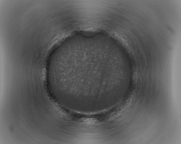 X0000112430689200909111030