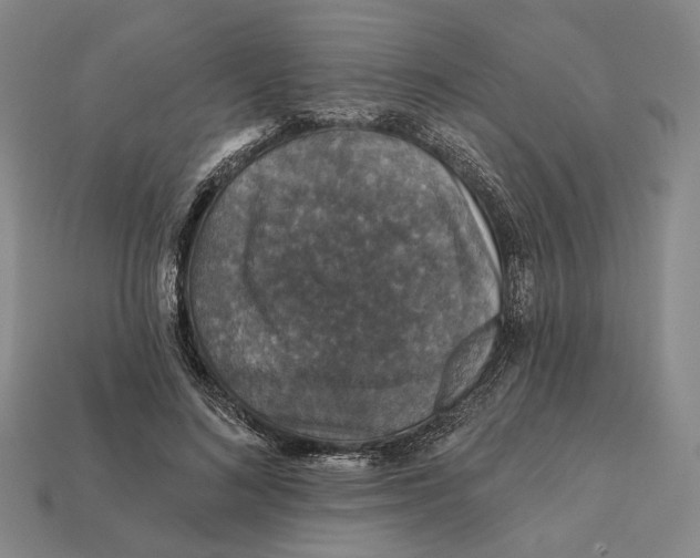 X0000112430692200909111030