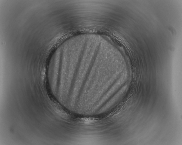 X0000112430693200909111030