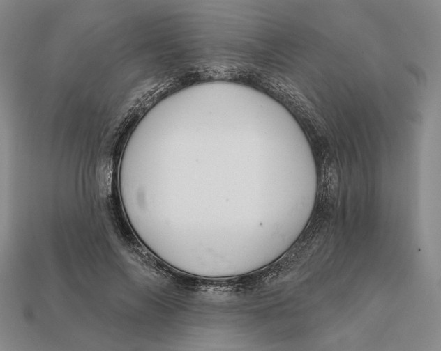 X0000112430694200909111030