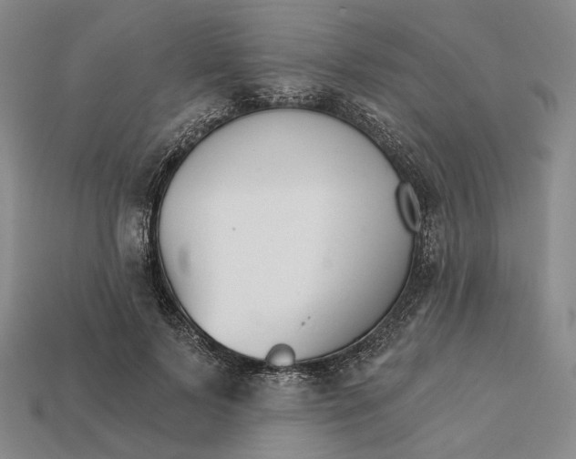 X0000112430695200909111030