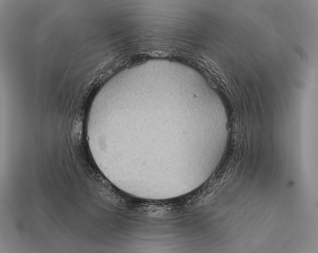 X0000112430697200909111030