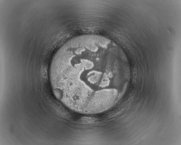 X0000112430699200909111030