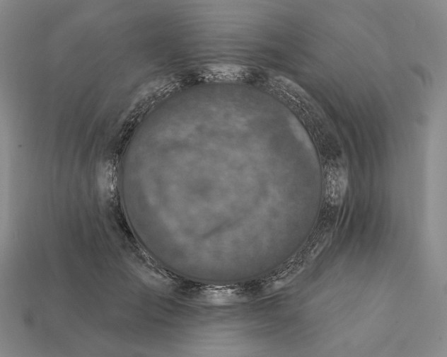 X0000112430701200909111030