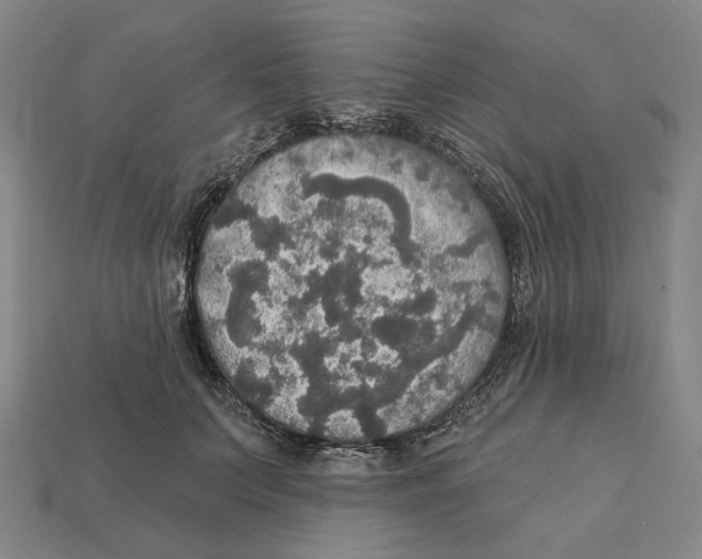 X0000112430703200909111030