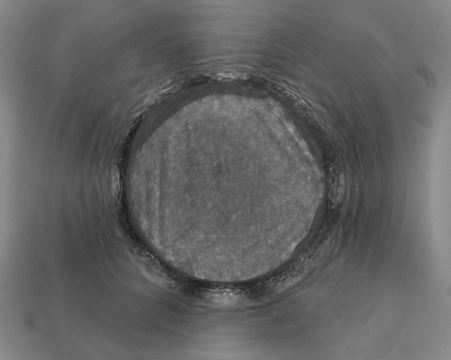 X0000112430704200909111030