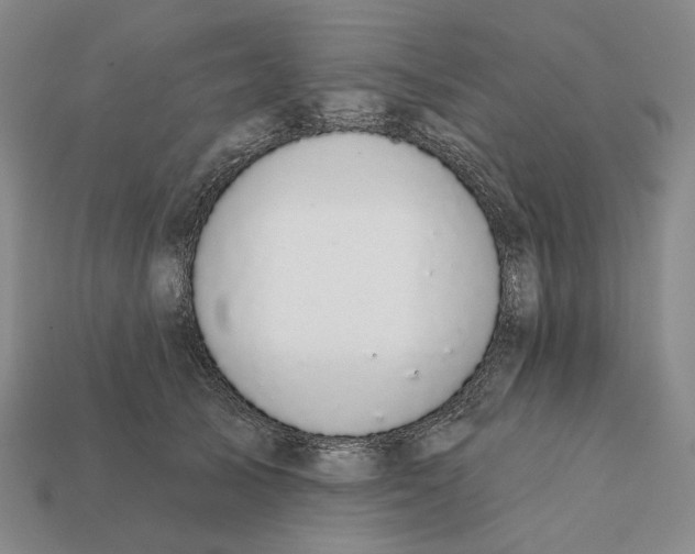 X0000112430705200909111030