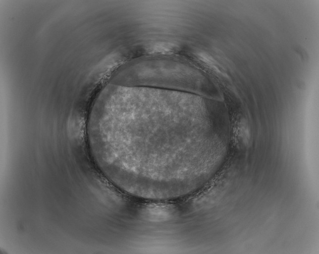 X0000112430708200909111030