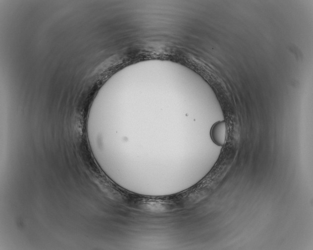X0000112430710200909111030