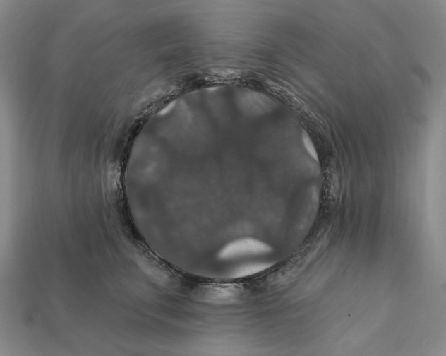 X0000112430711200909111030