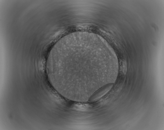 X0000112430712200909111030
