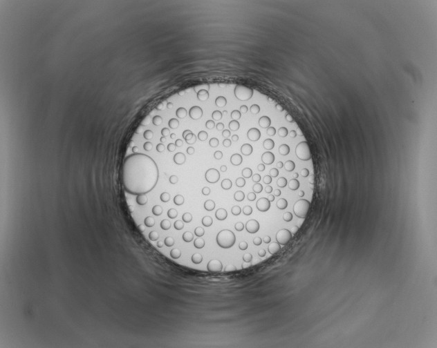 X0000112430715200909111030