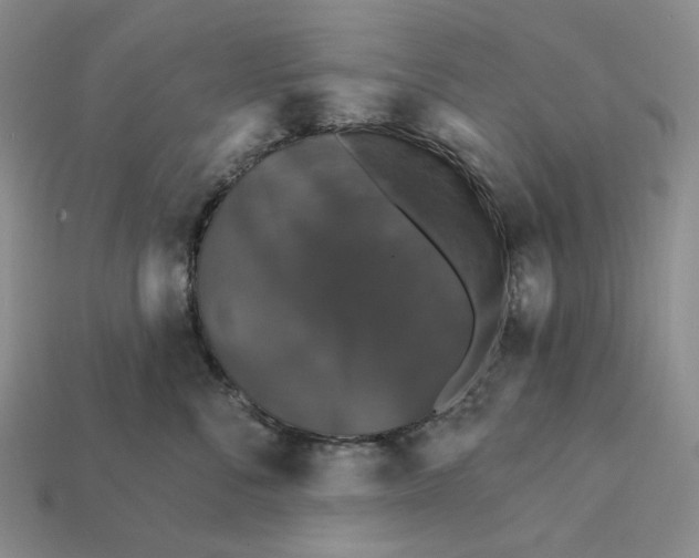 X0000112430716200909111030