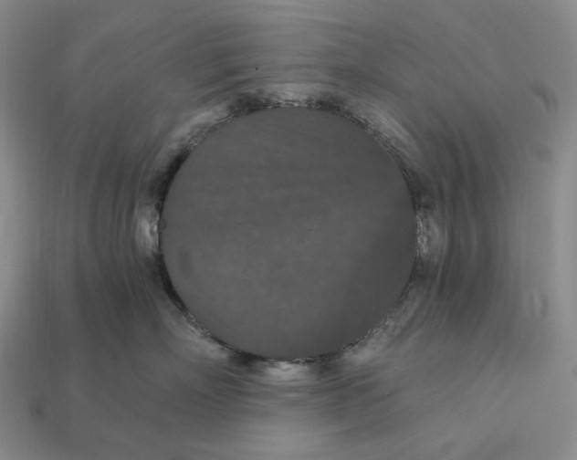 X0000112430718200909111030