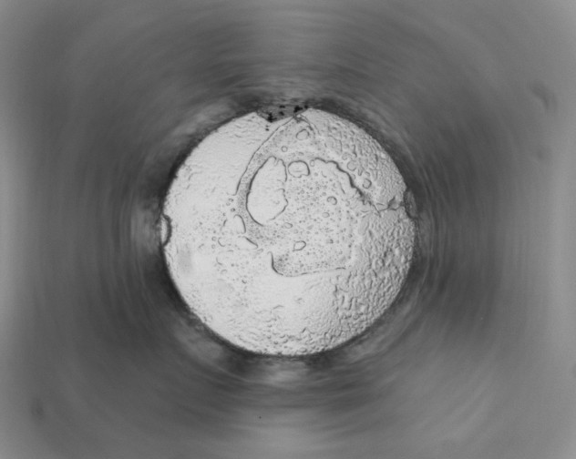 X0000112430719200909111030