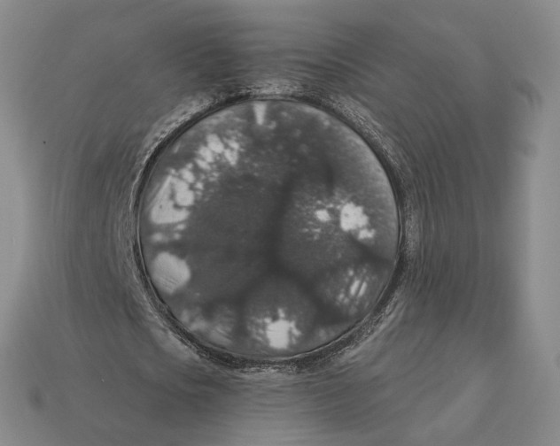 X0000112430721200909111029