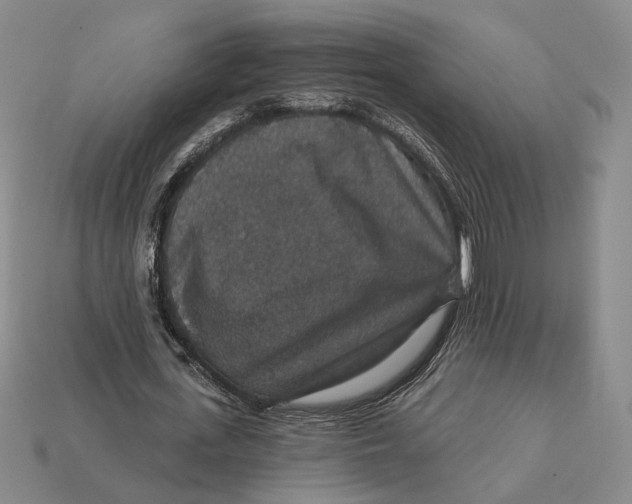 X0000112430723200909111029