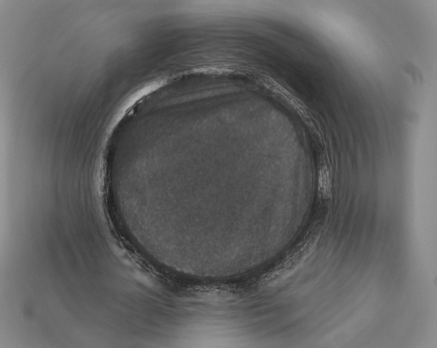 X0000112430724200909111029