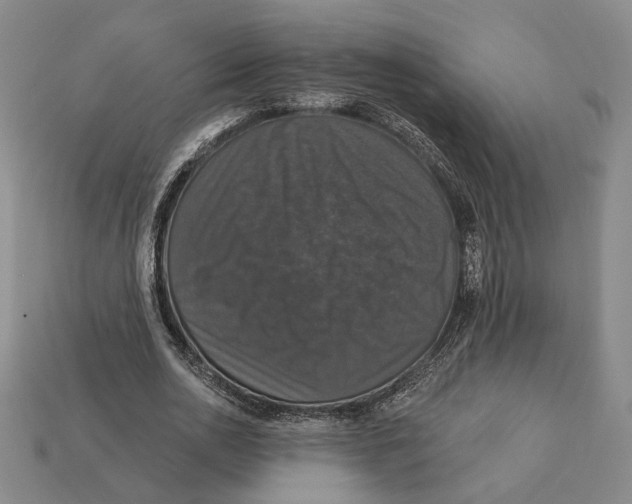 X0000112430726200909111029