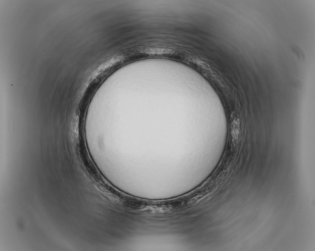 X0000112430727200909111029
