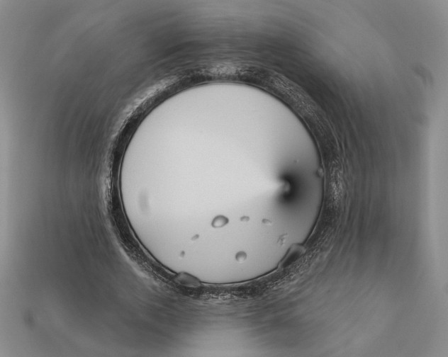 X0000112430728200909111029
