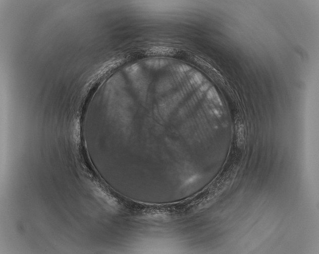 X0000112430729200909111029