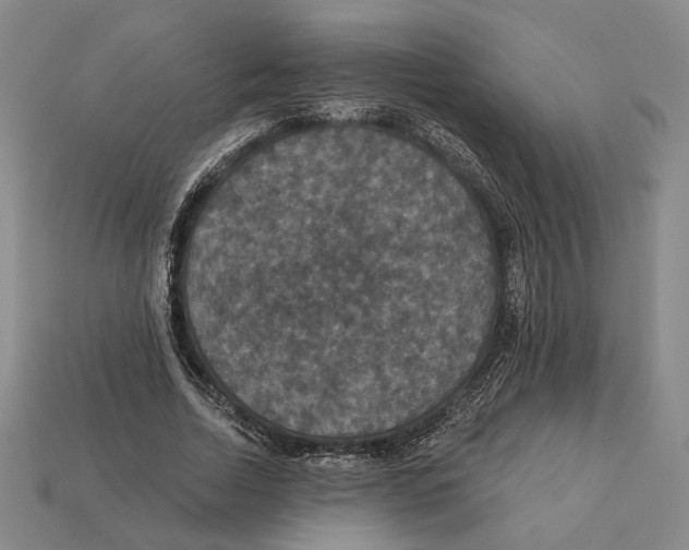X0000112430730200909111029