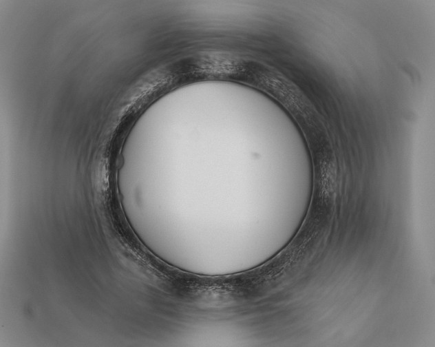 X0000112430731200909111029