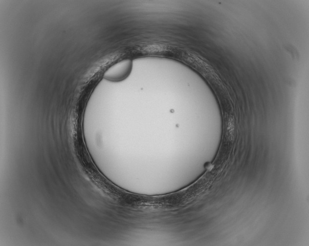X0000112430732200909111029