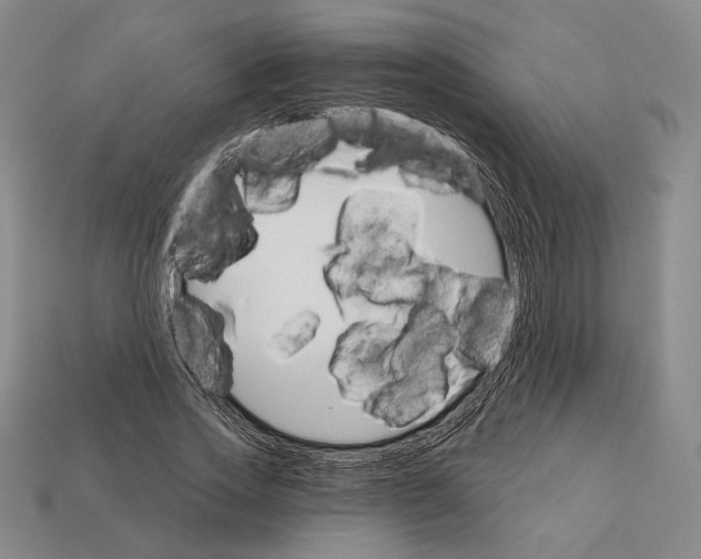 X0000112430733200909111029