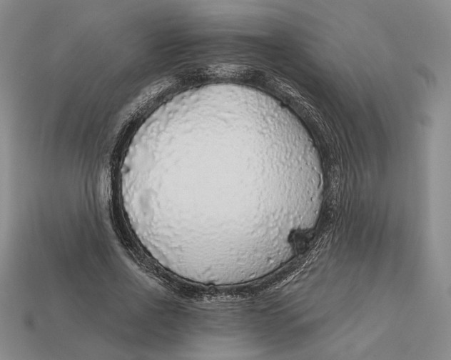 X0000112430734200909111029