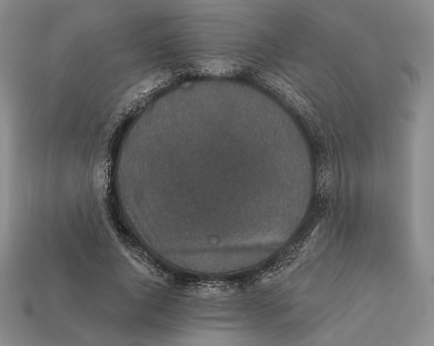 X0000112430736200909111029