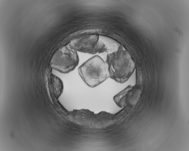 X0000112430737200909111029