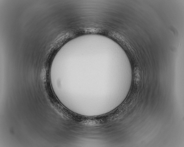 X0000112430738200909111029