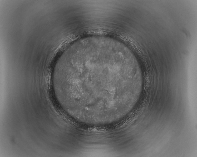X0000112430739200909111029