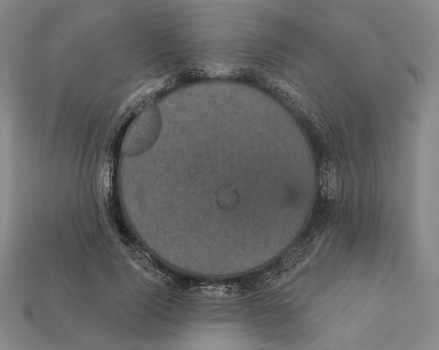 X0000112430740200909111029