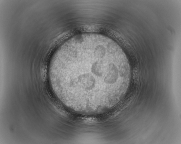 X0000112430741200909111029