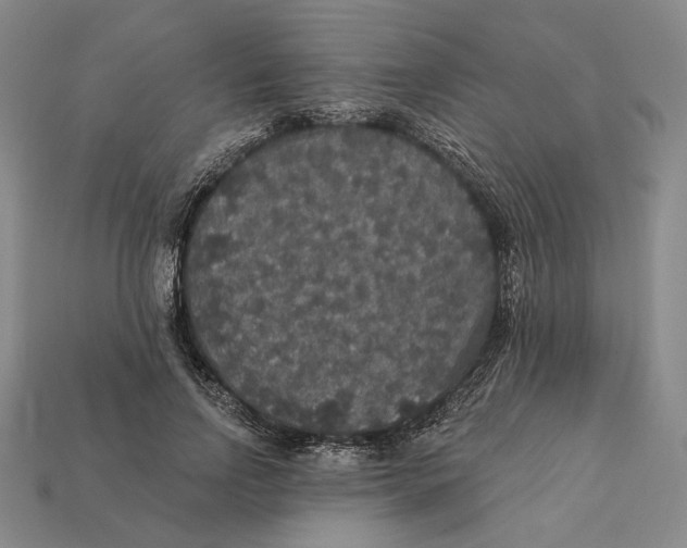 X0000112430742200909111029