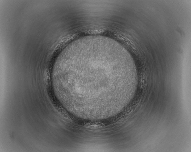 X0000112430743200909111029