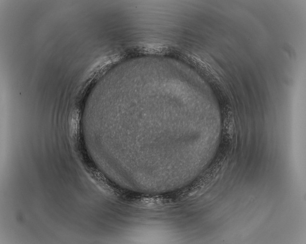 X0000112430744200909111029