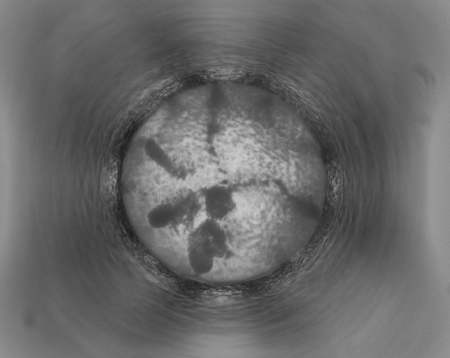 X0000112430745200909111029