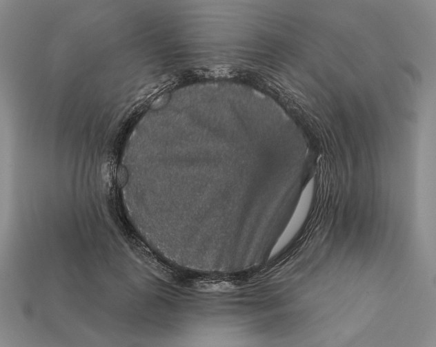 X0000112430747200909111029