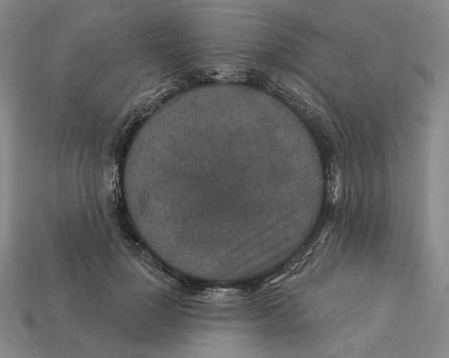 X0000112430748200909111029