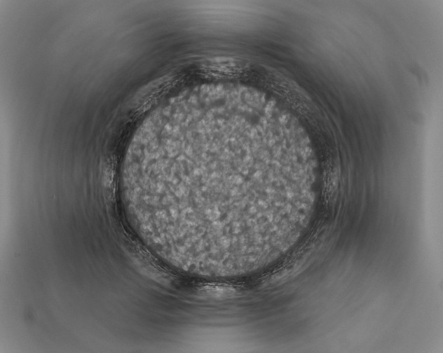 X0000112430749200909111030